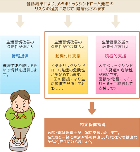 特定健診・特定保健指導の流れの図